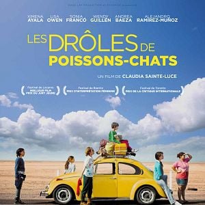 Bilder Der wundersame Katzenfisch