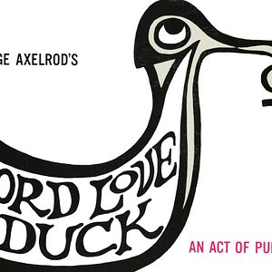 Bilder Lord Love a Duck