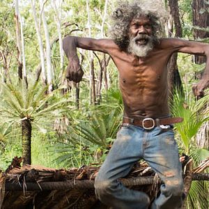 Bilder Charlie's Country