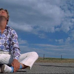 Bilder Die Letzten beißen die Hunde