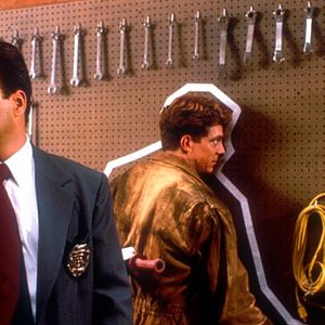 Bilder Allein unter Idioten