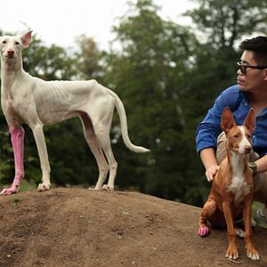 Bilder Art's Home is my Kassel