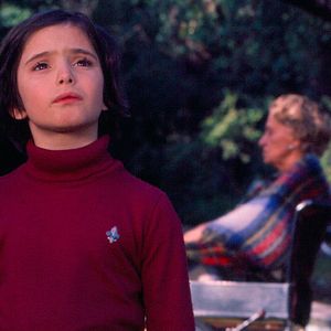 Bilder Züchte Raben...