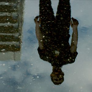 Bilder Snow in Paradise