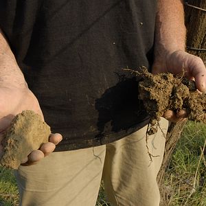 Bilder Natural Resistance