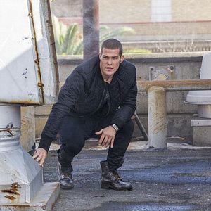 Bilder Greg Finley (II)