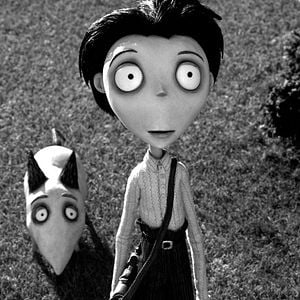 Bilder Frankenweenie