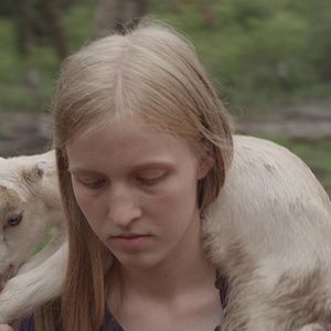 Bilder Stop the Pounding Heart