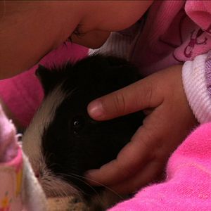 Bilder Sementes do Nosso Quintal