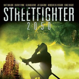 Bilder Streetfighter 2050