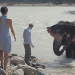 Bilder Fräulein Else