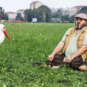 Bilder Der Kommandant und der Storch