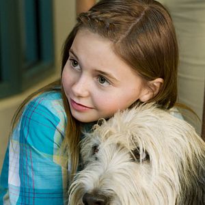 Bilder Alle lieben Jake