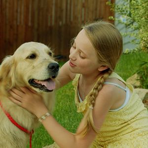 Bilder Shadow - Ein Hund zum Verlieben