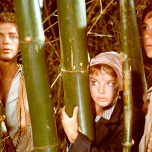 Bilder Dschungel der 1000 Gefahren