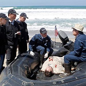 Bilder Emily Wickersham