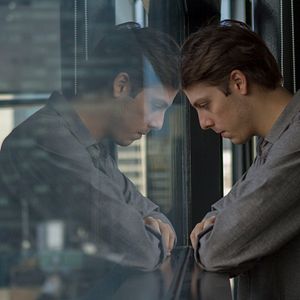 Bilder Entre Abelhas