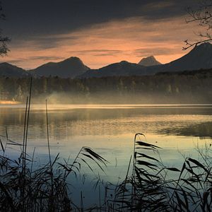 Bilder Planet Deutschland - 300 Millionen Jahre