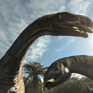 Bilder Planet Deutschland - 300 Millionen Jahre