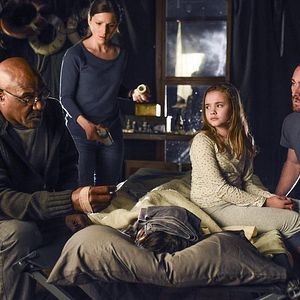 Bilder Katie McClellan