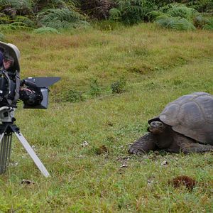 Bilder The Galapagos Affair: Satan Came To Eden