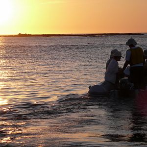 Bilder The Galapagos Affair: Satan Came To Eden