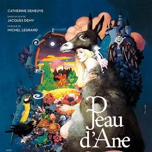 Bilder Die Eselshaut