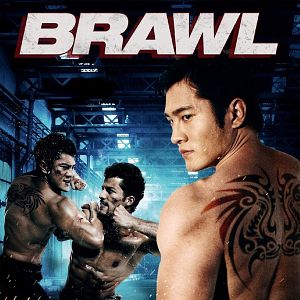 Bilder Brawl
