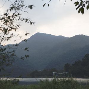 Bilder Shu Jia Zuo Ye