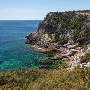 Bilder Die Höhle - Überleben ist ein Instinkt, keine Wahl.