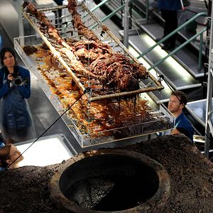 Bilder Michaela Conlin