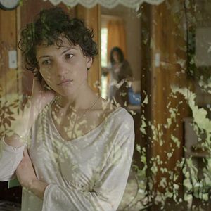 Bilder El árbol magnético