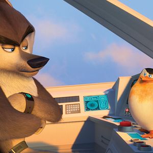 Bilder Die Pinguine aus Madagascar