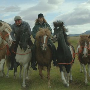 Bilder Von Menschen und Pferden