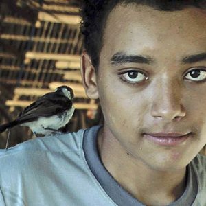 Bilder Hautes-Terres