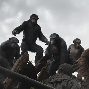 Bilder Planet der Affen 2: Revolution