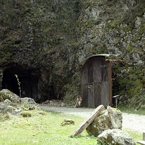 Bilder Sobrevivi ao Holocausto