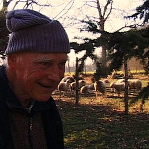 Bilder Mé damné - Que Dieu me damne