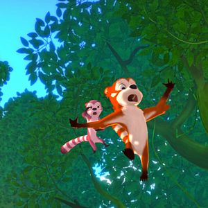 Bilder Ab durch den Dschungel