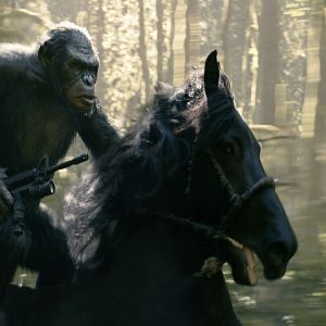 Bilder Planet der Affen 2: Revolution