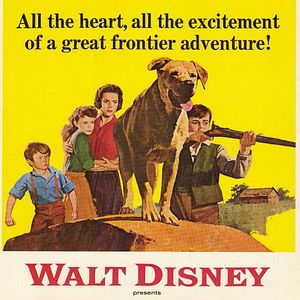 Bilder Sein Freund Jello