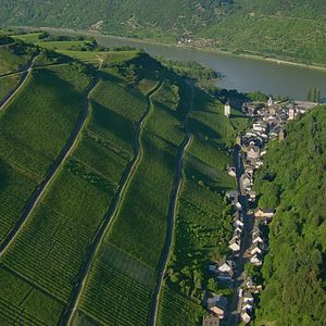 Bilder Rheingold - Gesichter eines Flusses