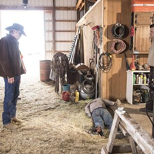 Bilder Robert Taylor (II)