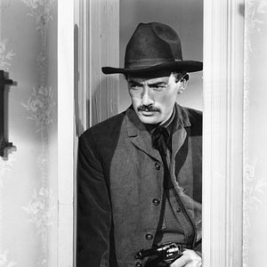 Bilder The Gunfighter