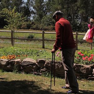 Bilder O ouro do tempo