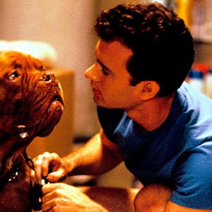 Bilder Scott & Huutsch