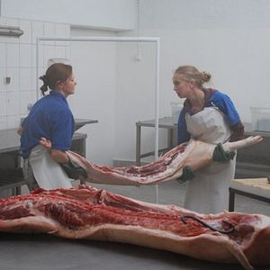 Bilder Opowiesci z chlodni