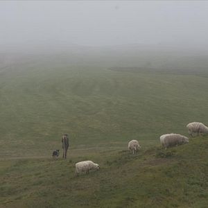 Bilder Golf in the Kingdom