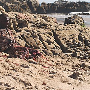 Bilder Asteroid vs Earth