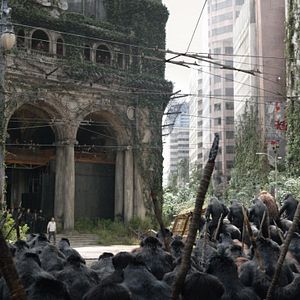 Bilder Planet der Affen 2: Revolution